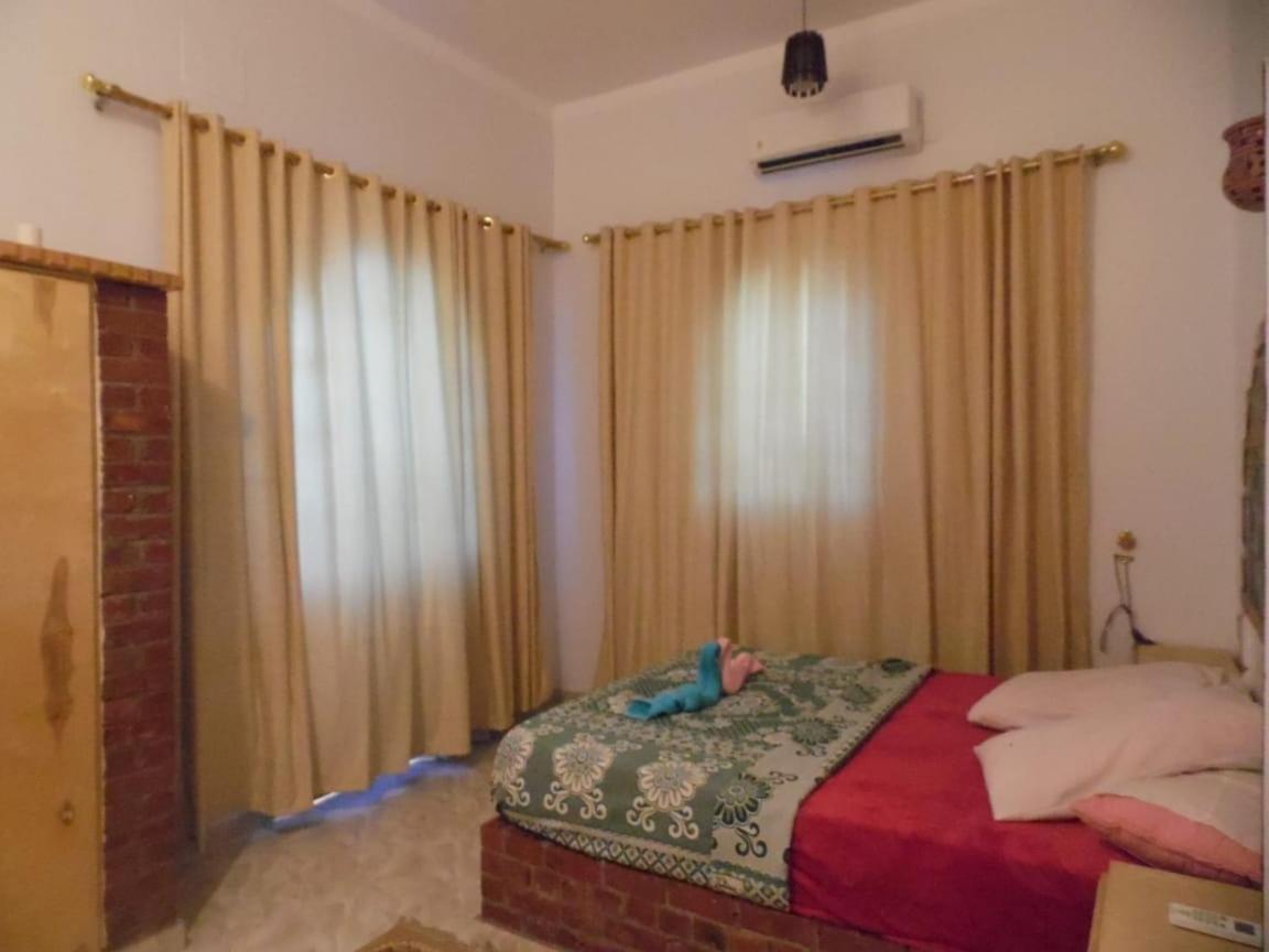Nour House Apartment Luxor Ngoại thất bức ảnh