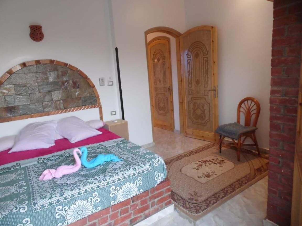 Nour House Apartment Luxor Ngoại thất bức ảnh